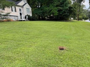 William W.'s lawn care services service result