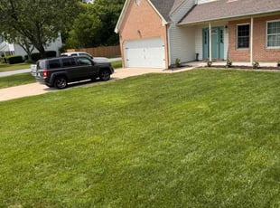 Merry M.'s grass maintenance service result