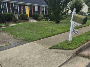 Wayne S.'s turf care service result