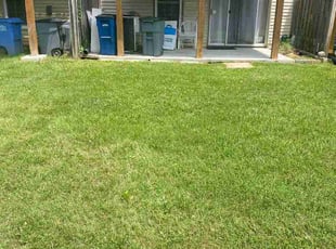 Brianne J.'s lawn care services service result