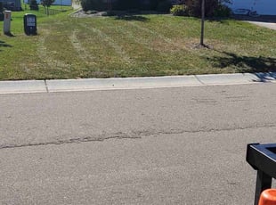 Phuong L.'s lawn care services service result