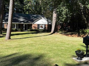Cornelia D.'s lawn care service result