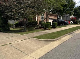 Timothy D.'s grass cutting service result