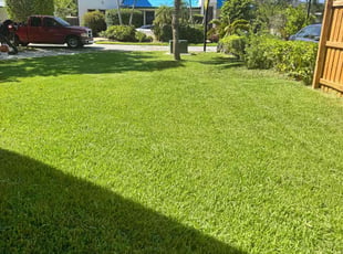 Raquel C.'s Long Grass Cleanup service result