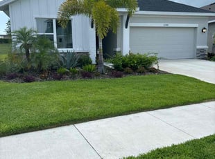 Sam B.'s lawn service service result