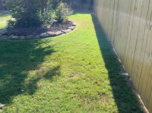 Heather D.'s lawn care service result