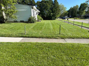 Nate S.'s lawn care services service result