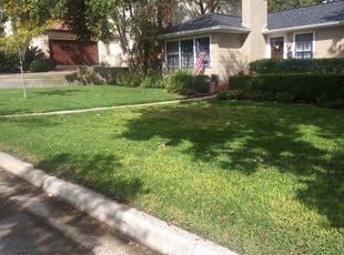 Ryan T.'s grass maintenance service result