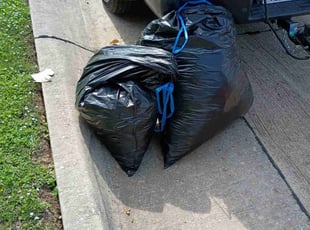 Judy T.'s Leaf Removal service result