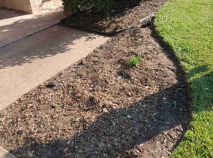 Sam G.'s Flower Bed Weeding service result
