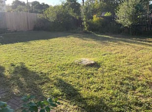 D L.'s lawn maintenance service result