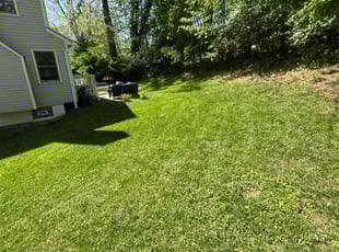 Burneice S.'s grass cutting service result