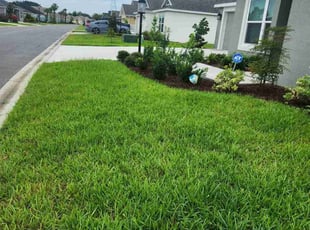Jennifer H.'s lawn care service result