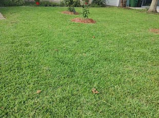 Stan J.'s grass maintenance service result