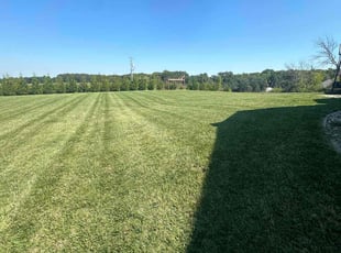 Justine U.'s grass maintenance service result