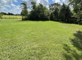 Eula H.'s grass maintenance service result