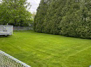 Cindy L.'s lawn maintenance service result