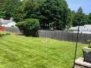 Dario L.'s turf maintenance service result