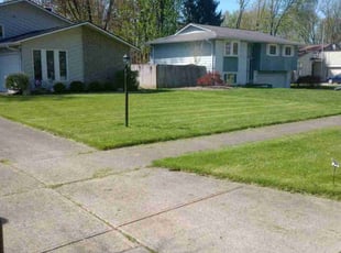 Leon S.'s lawn care services service result