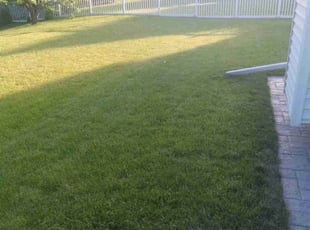 Anita P.'s lawn care service result