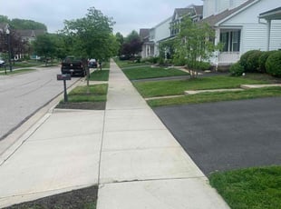 Tim C.'s yard maintenance service result