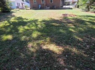 Paul D.'s lawn care service result