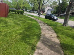 Veronica P.'s lawn service service result