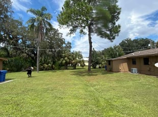 Elise S.'s lawn care services service result