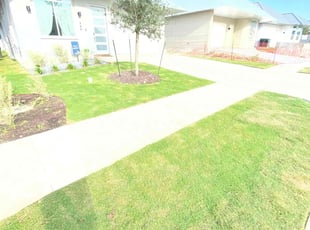 Susan M.'s lawn care service result