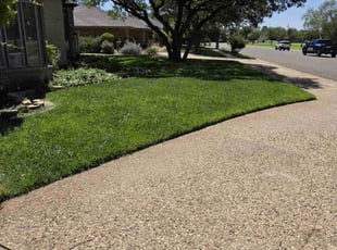 Lavon H.'s grass maintenance service result
