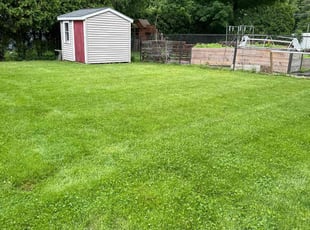 Tay N.'s lawn care services service result