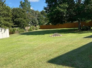 Sam B.'s grass cutting service result