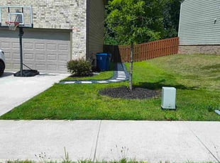 Megan K.'s lawn care service result