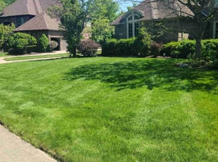 Robert P.'s turf maintenance service result