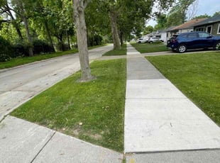 Amber W.'s turf maintenance service result