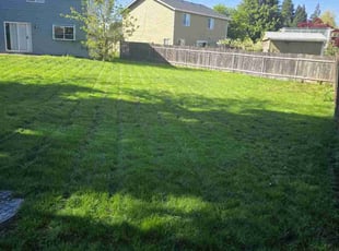 Andrew M.'s grass maintenance service result