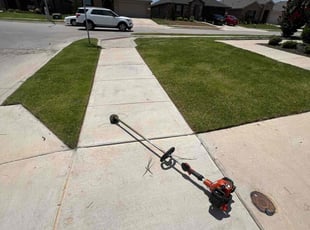 Patricia B.'s lawn service service result