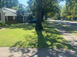 Tim G.'s grass cutting service result