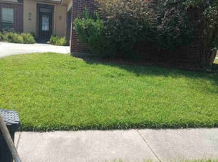 Ana C.'s grass maintenance service result