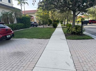 Elissa H.'s lawn maintenance service result