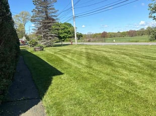 Liz C.'s grass cutting service result