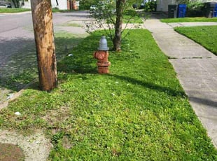 Ashwin N.'s lawn service service result