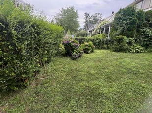 Olga S.'s grass cutting service result