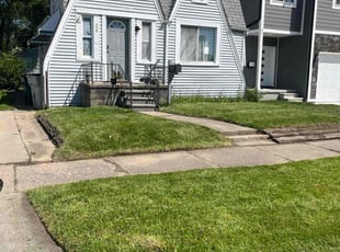 Malik M.'s Long Grass Cleanup service result