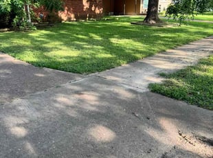 Linda F.'s lawn service service result
