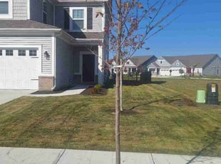 Lacey H.'s grass cutting service result