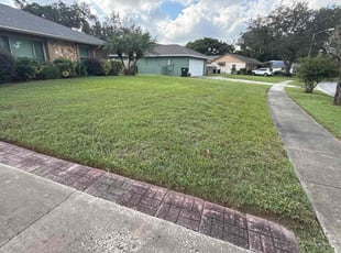 Pierre T.'s lawn care service result