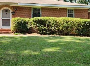 Britney B.'s Bush Trimming service result