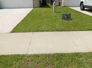 Walter H.'s lawn service service result