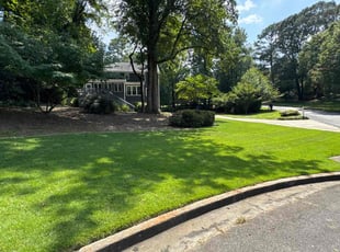 Richard R.'s landscaping service result